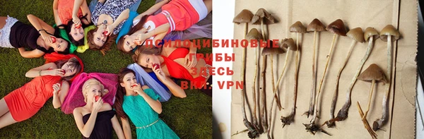 мефедрон Карпинск