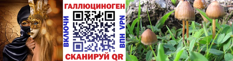 Купить  Верхняя Тура  Галлюциногенные грибы Cubensis 